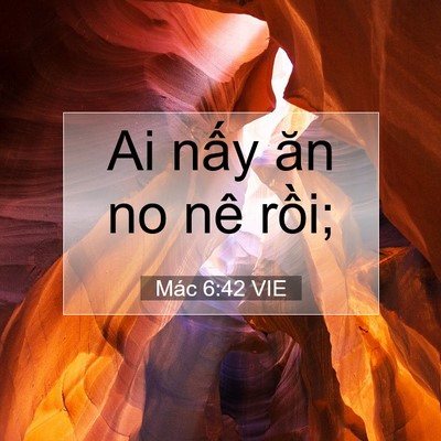 Picture 07 - Mác 6:42 VIE - Ai nấy ăn no nê - Bible Verse Picture
