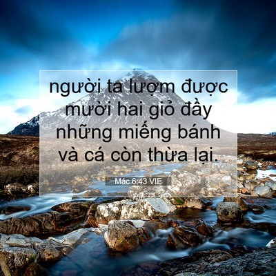 Picture 07 - Mác 6:43 VIE - người ta lượm được mười hai giỏ - Bible Verse Picture