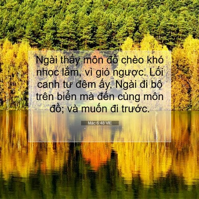 Picture 07 - Mác 6:48 VIE - Ngài thấy môn đồ chèo khó nhọc lắm, - Bible Verse Picture