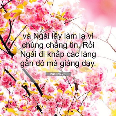 Picture 07 - Mác 6:6 VIE - và Ngài lấy làm lạ vì chúng chẳng tin. - Bible Verse Picture