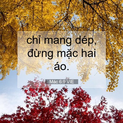 Picture 07 - Mác 6:9 VIE - chỉ mang dép, đừng mặc hai - Bible Verse Picture