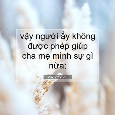 Picture 07 - Mác 7:12 VIE - vậy người ấy không được phép giúp - Bible Verse Picture