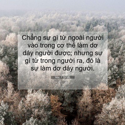 Picture 07 - Mác 7:15 VIE - Chẳng sự gì từ ngoài người vào trong - Bible Verse Picture