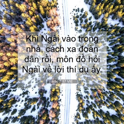 Picture 07 - Mác 7:17 VIE - Khi Ngài vào trong nhà, cách xa đoàn dân - Bible Verse Picture