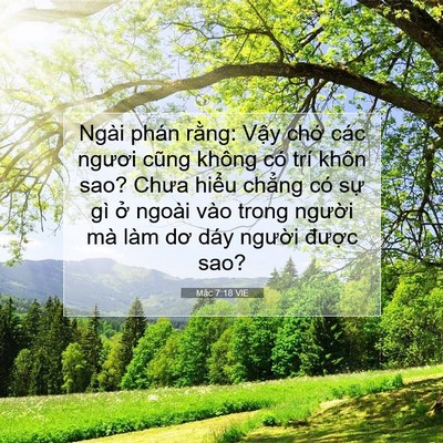 Picture 07 - Mác 7:18 VIE - Ngài phán rằng: Vậy chớ các ngươi - Bible Verse Picture