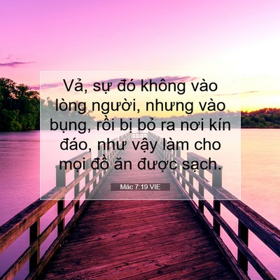 Picture 07 - Mác 7:19 VIE - Vả, sự đó không vào lòng người, - Bible Verse Picture