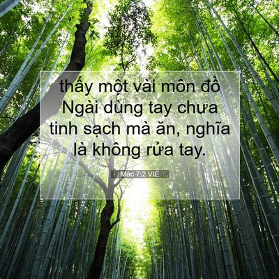 Picture 07 - Mác 7:2 VIE - thấy một vài môn đồ Ngài dùng tay - Bible Verse Picture