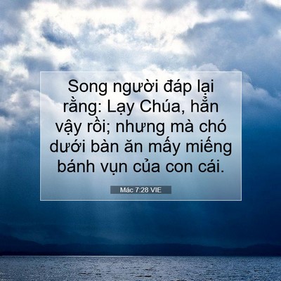 Picture 07 - Mác 7:28 VIE - Song người đáp lại rằng: Lạy Chúa, - Bible Verse Picture