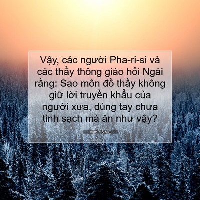 Picture 07 - Mác 7:5 VIE - Vậy, các người Pha-ri-si và các thầy - Bible Verse Picture