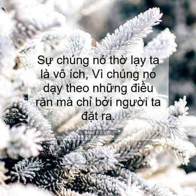 Picture 07 - Mác 7:7 VIE - Sự chúng nó thờ lạy ta là vô ích, Vì - Bible Verse Picture