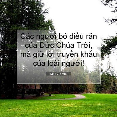 Picture 07 - Mác 7:8 VIE - Các ngươi bỏ điều răn của Đức Chúa - Bible Verse Picture