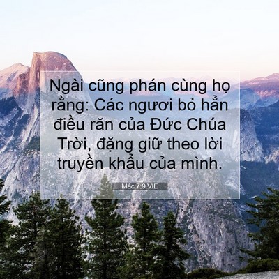 Picture 07 - Mác 7:9 VIE - Ngài cũng phán cùng họ rằng: Các ngươi - Bible Verse Picture