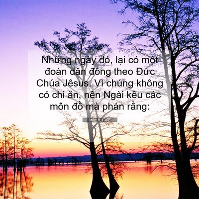 Picture 07 - Mác 8:1 VIE - Những ngày đó, lại có một đoàn dân - Bible Verse Picture