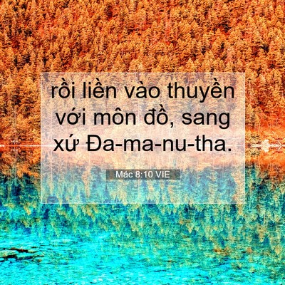 Picture 07 - Mác 8:10 VIE - rồi liền vào thuyền với môn đồ, sang - Bible Verse Picture