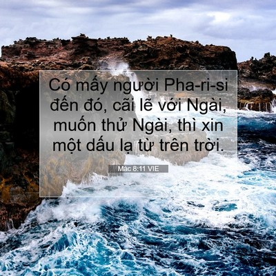 Picture 07 - Mác 8:11 VIE - Có mấy người Pha-ri-si đến đó, cãi - Bible Verse Picture