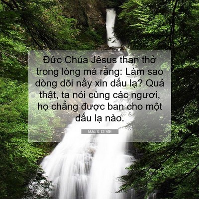 Picture 07 - Mác 8:12 VIE - Đức Chúa Jêsus than thở trong lòng mà - Bible Verse Picture