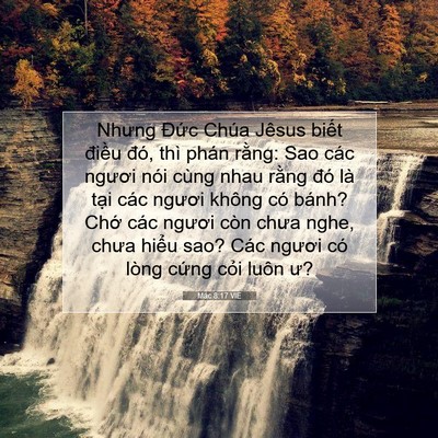 Picture 07 - Mác 8:17 VIE - Nhưng Đức Chúa Jêsus biết điều đó, - Bible Verse Picture
