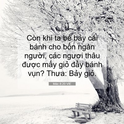 Picture 07 - Mác 8:20 VIE - Còn khi ta bẻ bảy cái bánh cho bốn ngàn - Bible Verse Picture