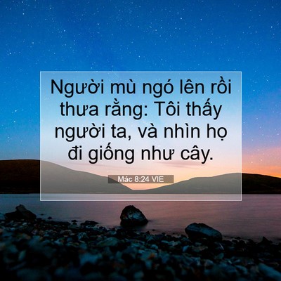 Picture 07 - Mác 8:24 VIE - Người mù ngó lên rồi thưa rằng: Tôi - Bible Verse Picture