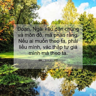 Picture 07 - Mác 8:34 VIE - Đoạn, Ngài kêu dân chúng và môn đồ, - Bible Verse Picture