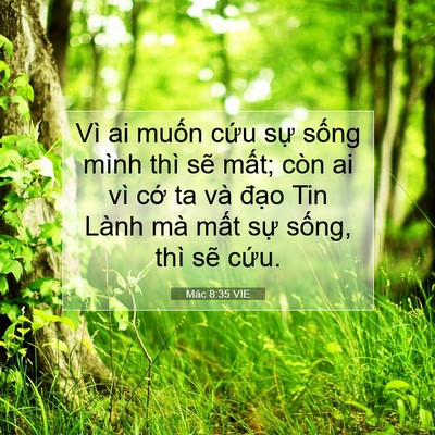 Picture 07 - Mác 8:35 VIE - Vì ai muốn cứu sự sống mình thì sẽ - Bible Verse Picture