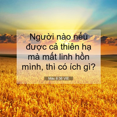 Picture 07 - Mác 8:36 VIE - Người nào nếu được cả thiên hạ mà - Bible Verse Picture