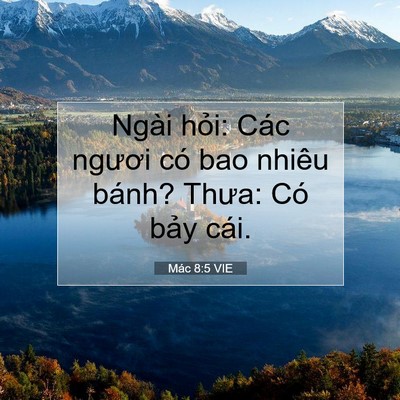 Picture 07 - Mác 8:5 VIE - Ngài hỏi: Các ngươi có bao nhiêu bánh? - Bible Verse Picture