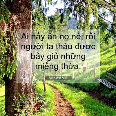 Picture 07 - Mác 8:8 VIE - Ai nấy ăn no nê; rồi người ta thâu - Bible Verse Picture