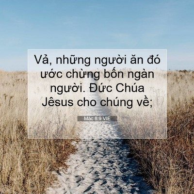 Picture 07 - Mác 8:9 VIE - Vả, những người ăn đó ước chừng - Bible Verse Picture