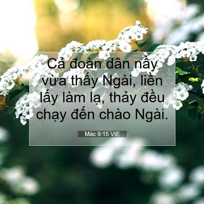 Picture 07 - Mác 9:15 VIE - Cả đoàn dân nầy vừa thấy Ngài, liền - Bible Verse Picture