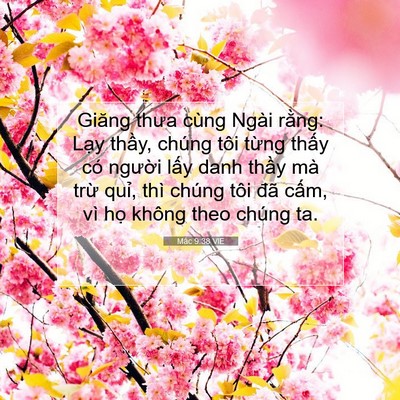 Picture 07 - Mác 9:38 VIE - Giăng thưa cùng Ngài rằng: Lạy thầy, - Bible Verse Picture