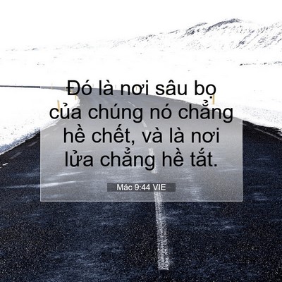 Picture 07 - Mác 9:44 VIE - Đó là nơi sâu bọ của chúng nó chẳng - Bible Verse Picture