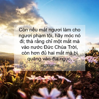 Picture 07 - Mác 9:47 VIE - Còn nếu mắt ngươi làm cho ngươi phạm - Bible Verse Picture