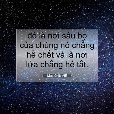 Picture 07 - Mác 9:48 VIE - đó là nơi sâu bọ của chúng nó chẳng - Bible Verse Picture