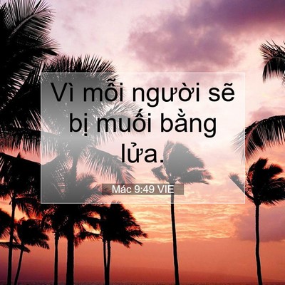 Picture 07 - Mác 9:49 VIE - Vì mỗi người sẽ bị muối bằng - Bible Verse Picture