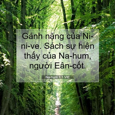 Picture 07 - Na-hum 1:1 VIE - Gánh nặng của Ni-ni-ve. Sách sự hiện - Bible Verse Picture
