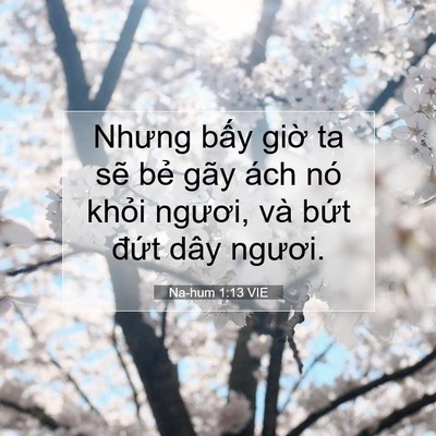 Picture 07 - Na-hum 1:13 VIE - Nhưng bấy giờ ta sẽ bẻ gãy ách nó - Bible Verse Picture