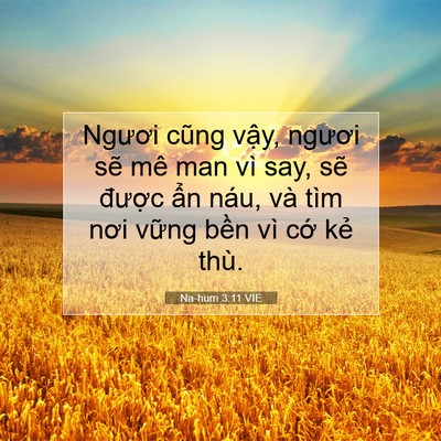 Picture 07 - Na-hum 3:11 VIE - Ngươi cũng vậy, ngươi sẽ mê man vì - Bible Verse Picture
