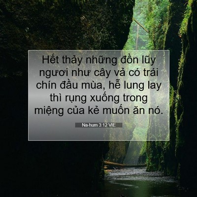 Picture 07 - Na-hum 3:12 VIE - Hết thảy những đồn lũy ngươi như - Bible Verse Picture