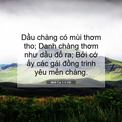 Picture 07 - Nhã Ca 1:3 VIE - Dầu chàng có mùi thơm tho; Danh chàng - Bible Verse Picture