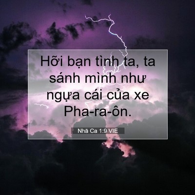 Picture 07 - Nhã Ca 1:9 VIE - Hỡi bạn tình ta, ta sánh mình như ngựa - Bible Verse Picture