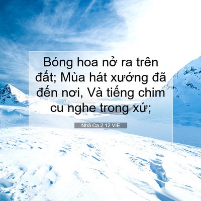 Picture 07 - Nhã Ca 2:12 VIE - Bóng hoa nở ra trên đất; Mùa hát - Bible Verse Picture