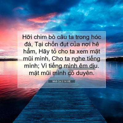 Picture 07 - Nhã Ca 2:14 VIE - Hỡi chim bò câu ta trong hóc đá, Tại - Bible Verse Picture