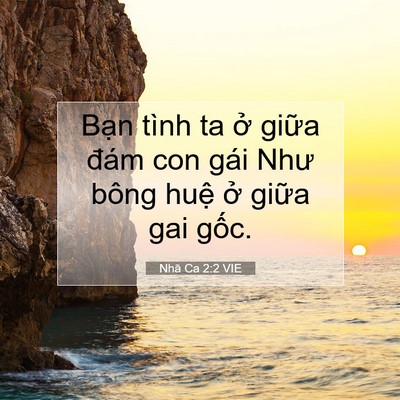 Picture 07 - Nhã Ca 2:2 VIE - Bạn tình ta ở giữa đám con gái Như - Bible Verse Picture