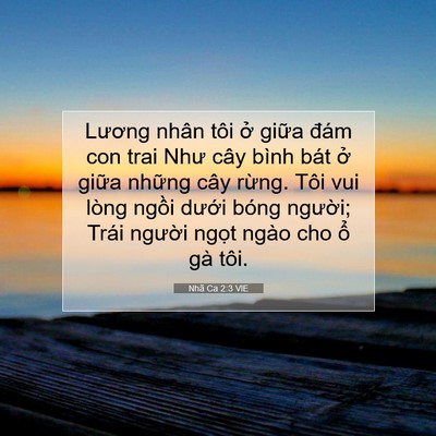 Picture 07 - Nhã Ca 2:3 VIE - Lương nhân tôi ở giữa đám con trai Như - Bible Verse Picture