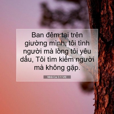 Picture 07 - Nhã Ca 3:1 VIE - Ban đêm tại trên giường mình, tôi tình - Bible Verse Picture
