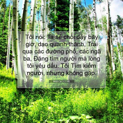 Picture 07 - Nhã Ca 3:2 VIE - Tôi nói: Ta sẽ chổi dậy bây giờ, dạo - Bible Verse Picture