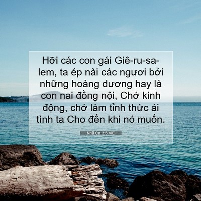 Picture 07 - Nhã Ca 3:5 VIE - Hỡi các con gái Giê-ru-sa-lem, ta ép nài - Bible Verse Picture