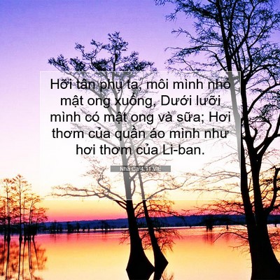 Picture 07 - Nhã Ca 4:11 VIE - Hỡi tân phụ ta, môi mình nhỏ mật ong - Bible Verse Picture