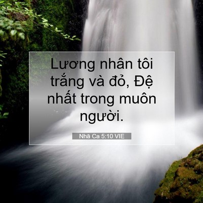 Picture 07 - Nhã Ca 5:10 VIE - Lương nhân tôi trắng và đỏ, Đệ - Bible Verse Picture